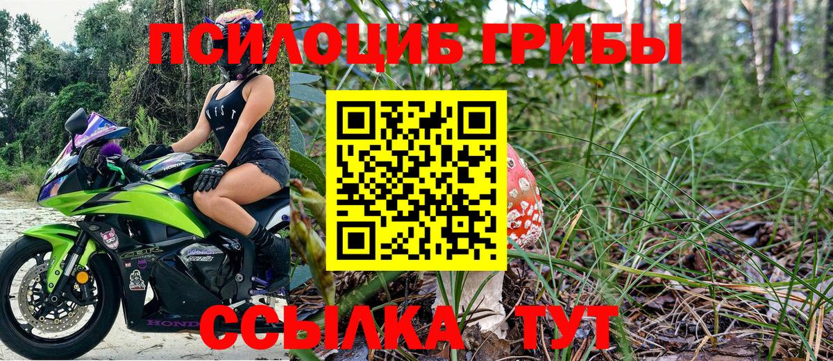 Псилоцибиновые грибы GOLDEN TEACHER Подольск