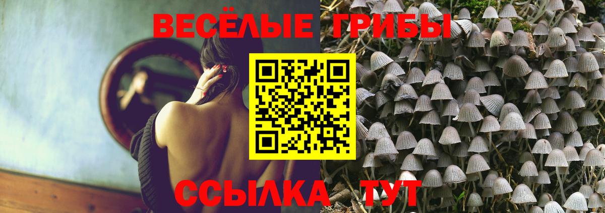 Галлюциногенные грибы Magic Shrooms  Вход с VPN  Галлюциногенные грибы MAGIC MUSHROOMS  Подольск 